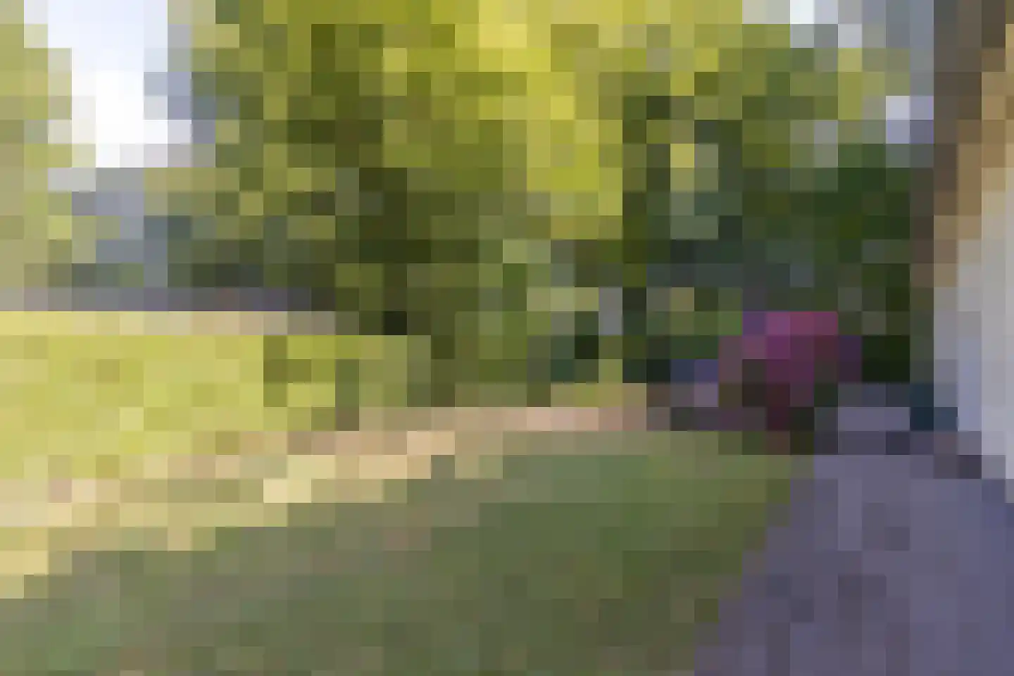 Hommelweg 2 R 219 Susteren thumbnail 5