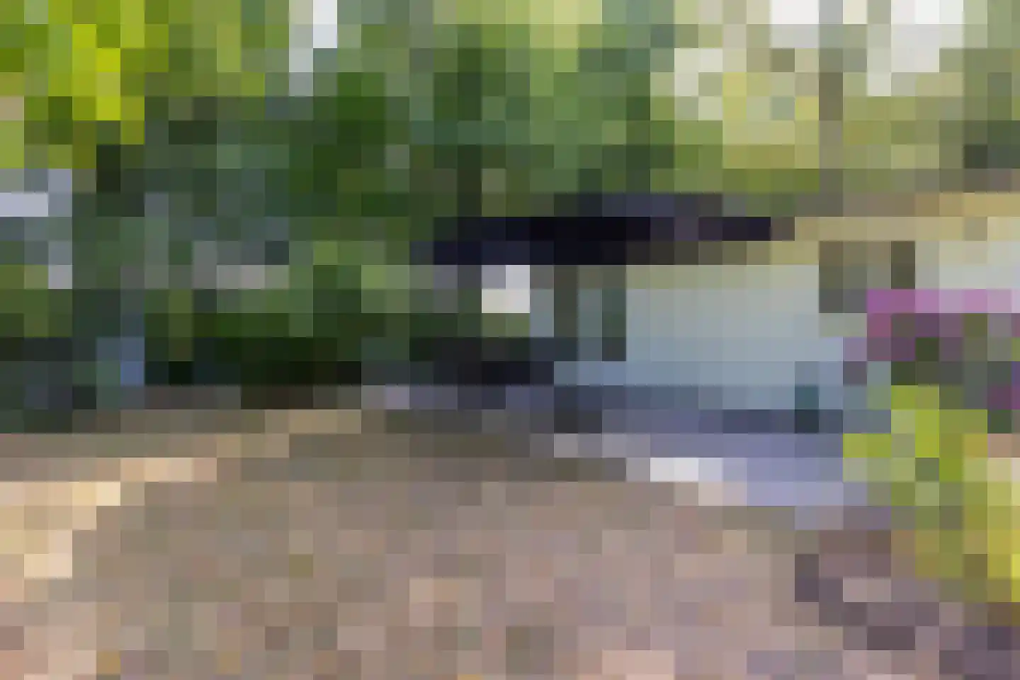 Hommelweg 2 R 219 Susteren thumbnail 6