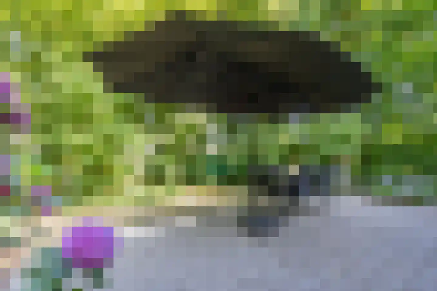 Hommelweg 2 R 219 Susteren thumbnail 7