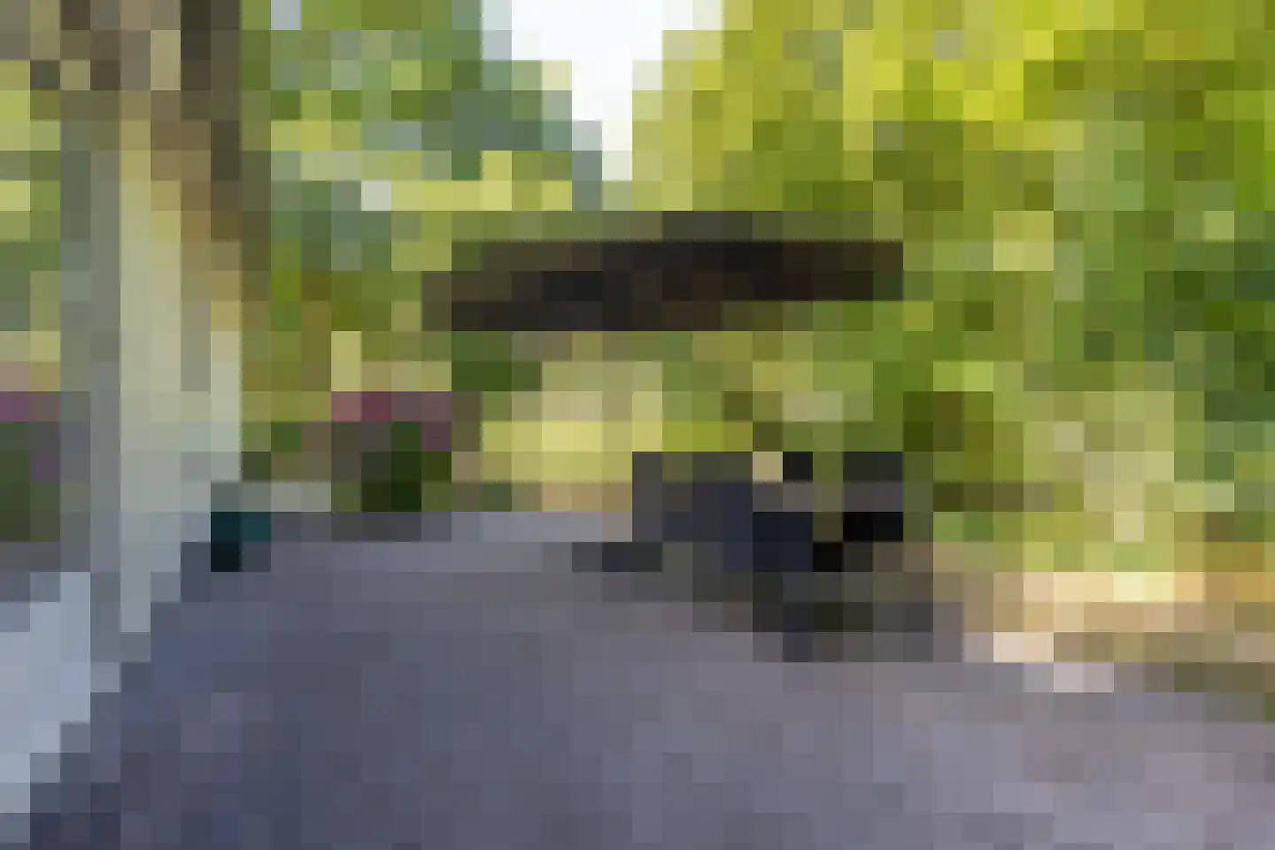 Hommelweg 2 R 219 Susteren thumbnail 8