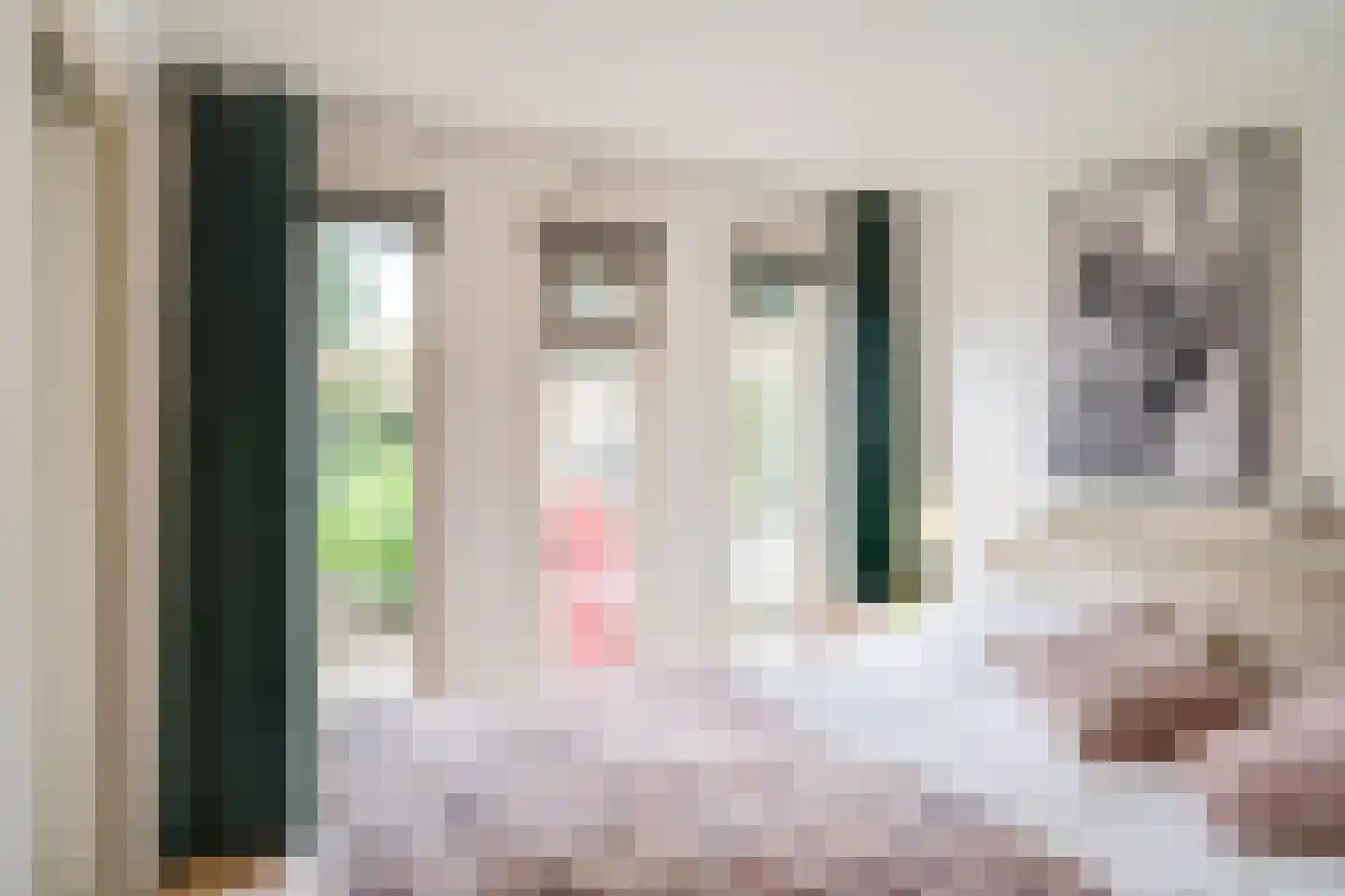 Hommelweg 2 R 238 Susteren thumbnail 13