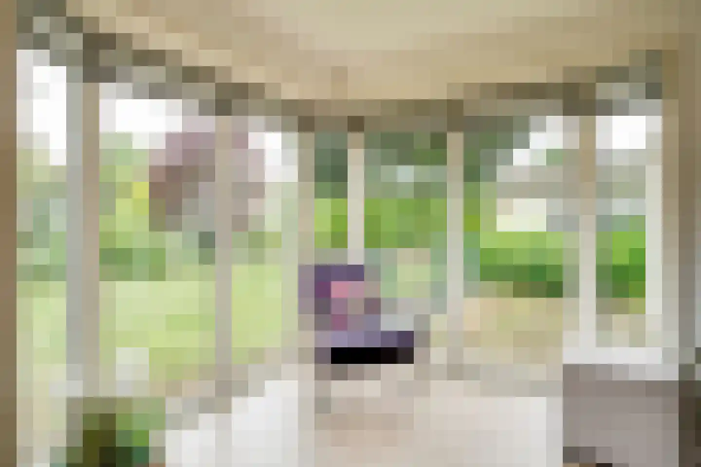 Hommelweg 2 R 238 Susteren thumbnail 21