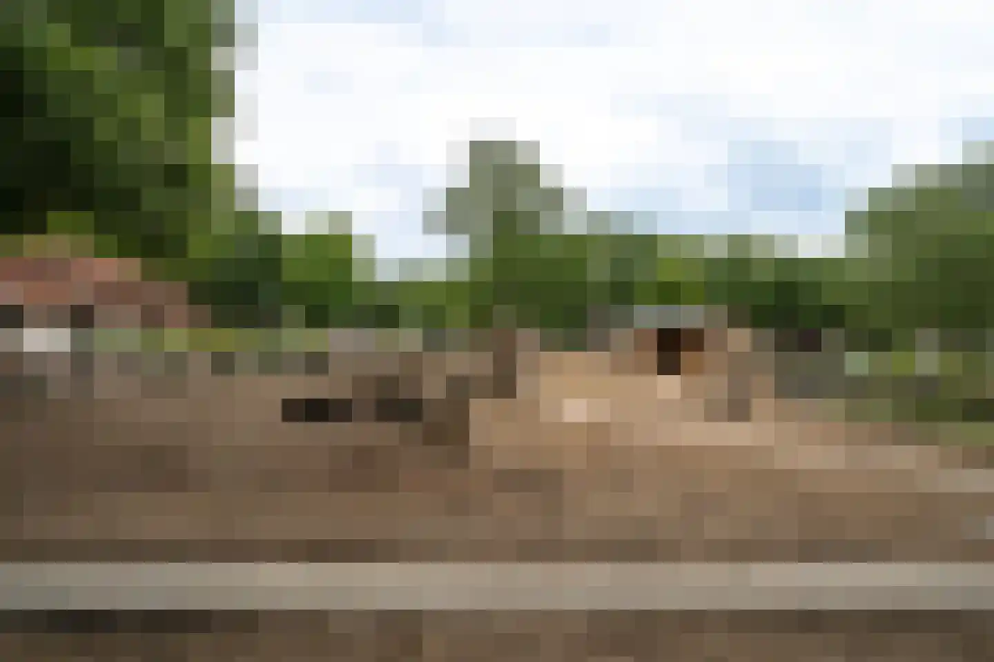 Hommelweg 2 R 238 Susteren thumbnail 29
