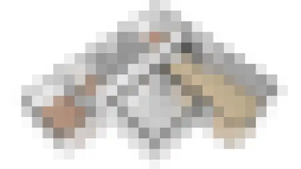 Hommelweg 2 R 238 Susteren thumbnail 33