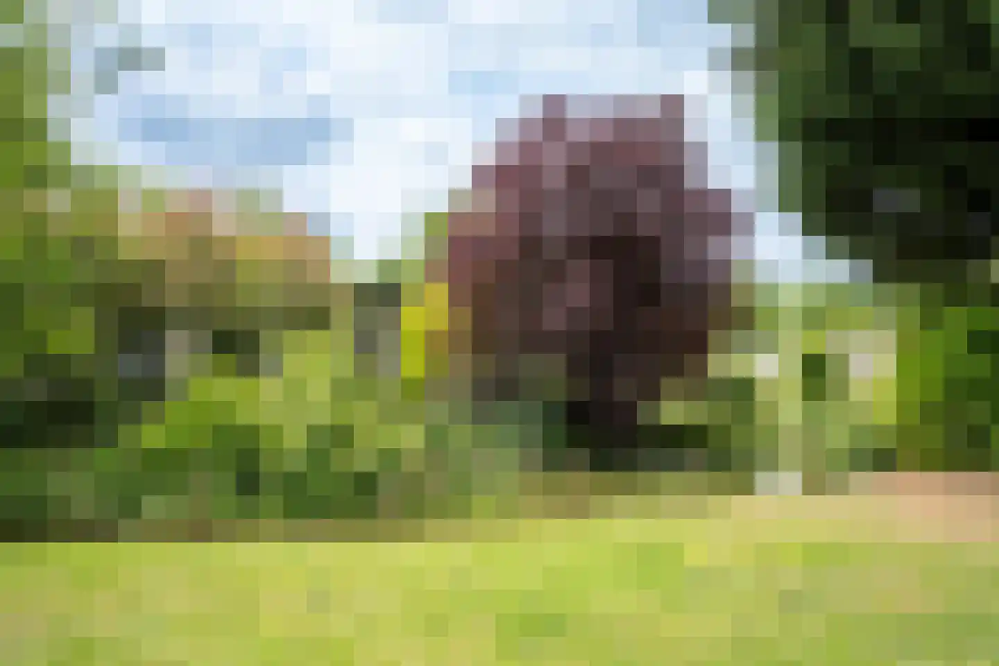 Hommelweg 2 R 238 Susteren thumbnail 6