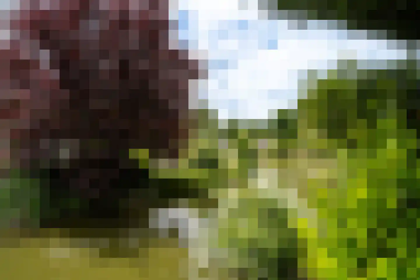 Hommelweg 2 R 238 Susteren thumbnail 7