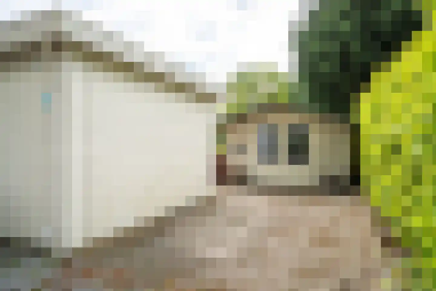 Hommelweg 2 R 238 Susteren thumbnail 9
