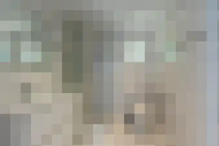 Hommelweg 2 R 254 Susteren thumbnail 17