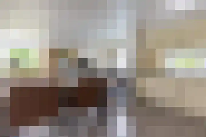 Hommelweg 2 R 254 Susteren thumbnail 18