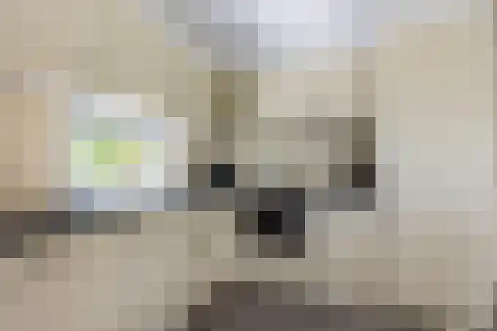 Hommelweg 2 R 254 Susteren thumbnail 26