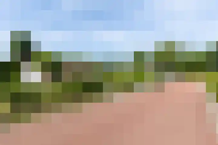 Hommelweg 2 R 254 Susteren thumbnail 4