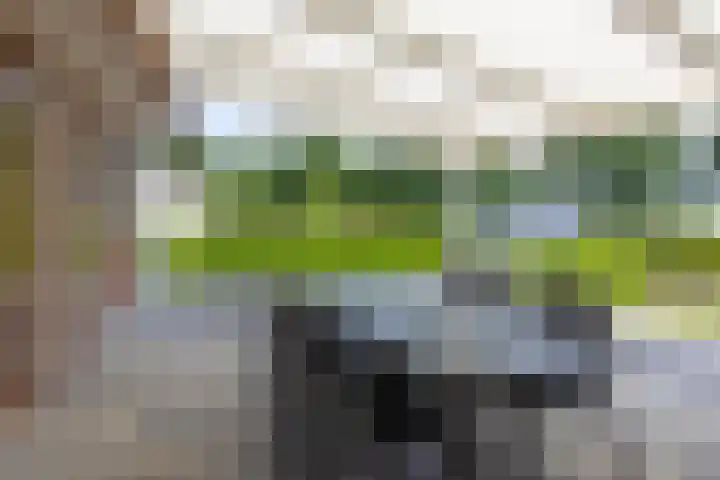 Hommelweg 2 R 254 Susteren thumbnail 8