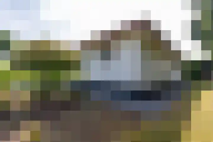 Hommelweg 2 R 254 Susteren thumbnail 9