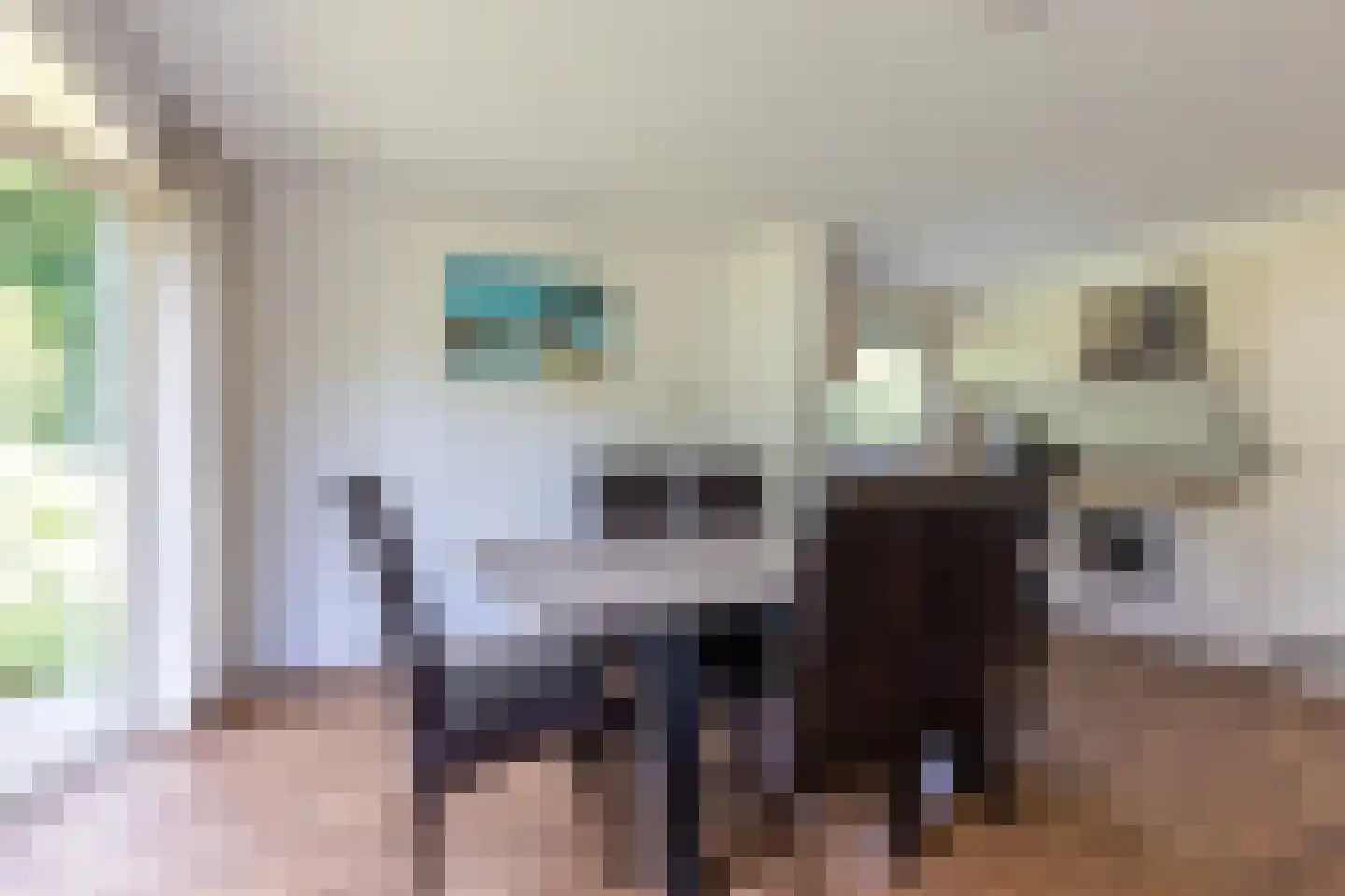 Hommelweg 2 R 255 Susteren thumbnail 13