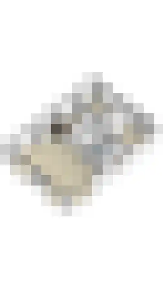 Hommelweg 2 R 255 Susteren thumbnail 25
