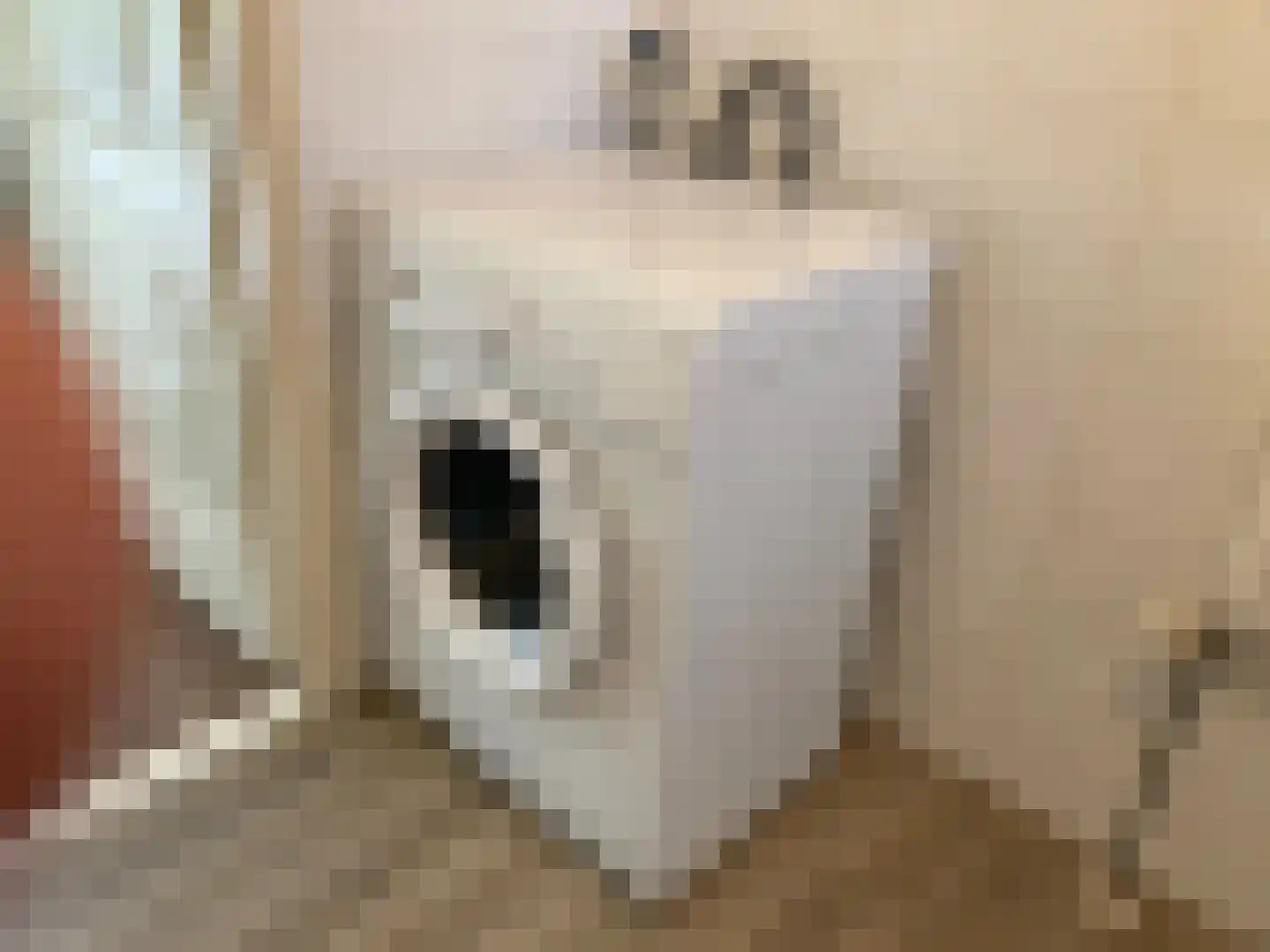 Hommelweg 2 R 271 Susteren thumbnail 17