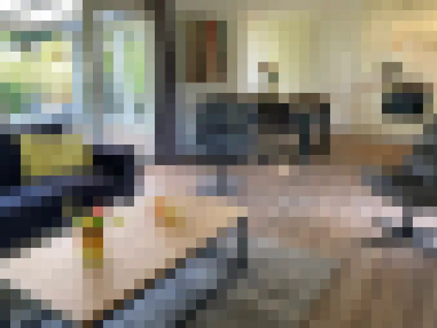 Hommelweg 2 R 271 Susteren thumbnail 4