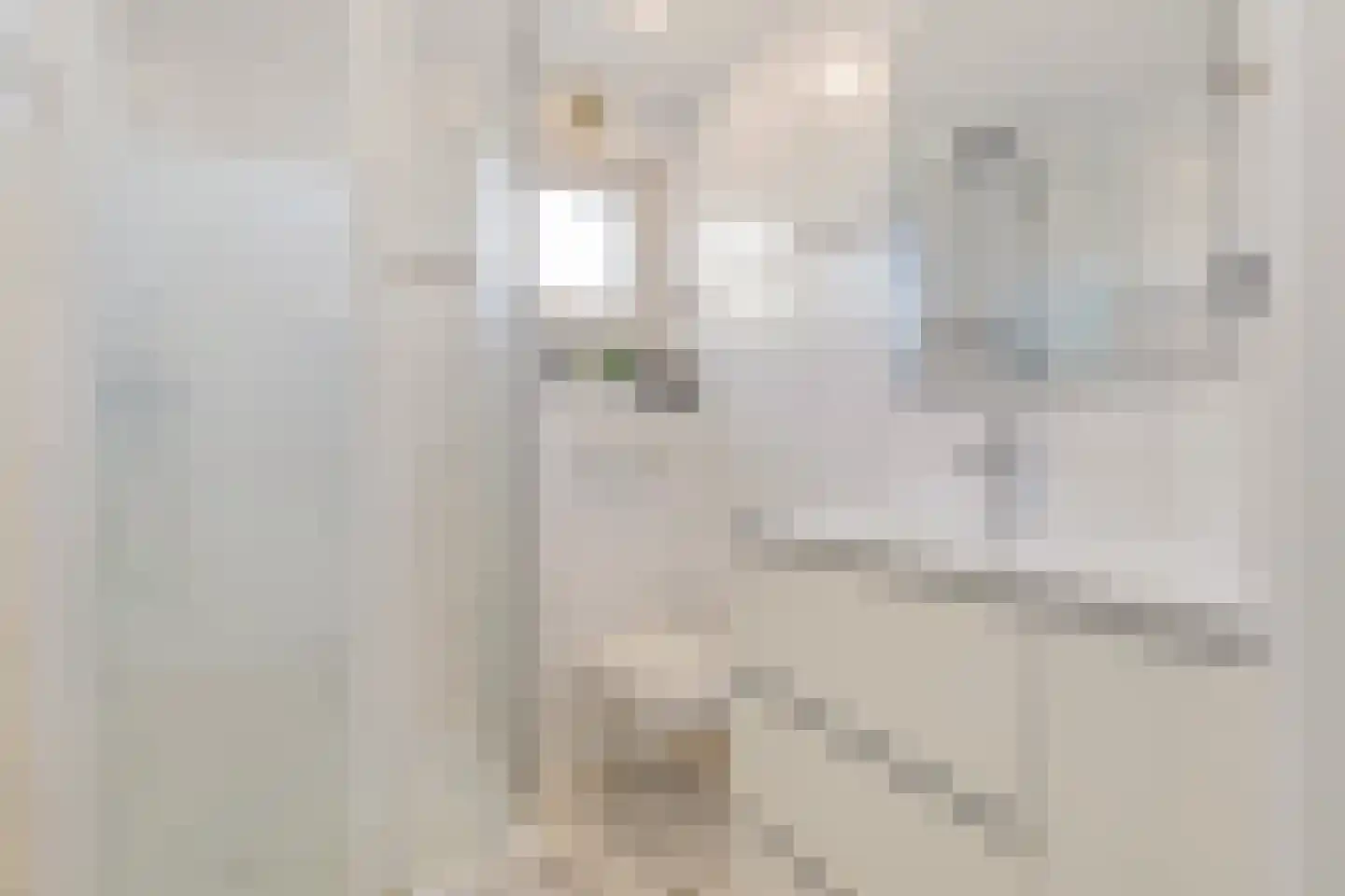 Hommelweg 2 R 326 Susteren thumbnail 22