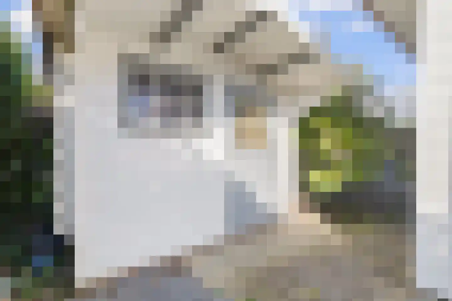 Hommelweg 2 R 326 Susteren thumbnail 24
