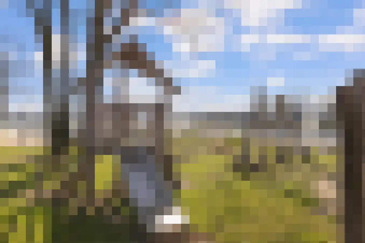 Hommelweg 2 R 326 Susteren thumbnail 35