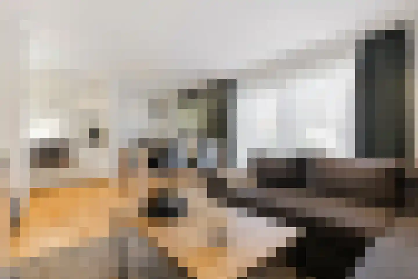 Hommelweg 2 R 326 Susteren thumbnail 7
