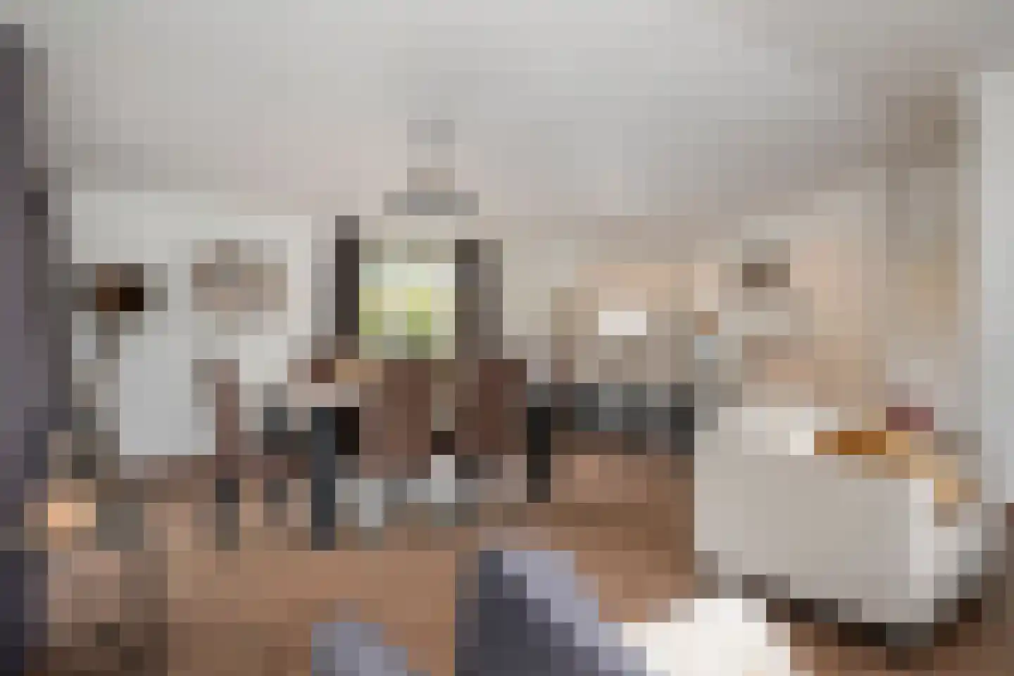 Hommelweg 2 R 330 Susteren thumbnail 10