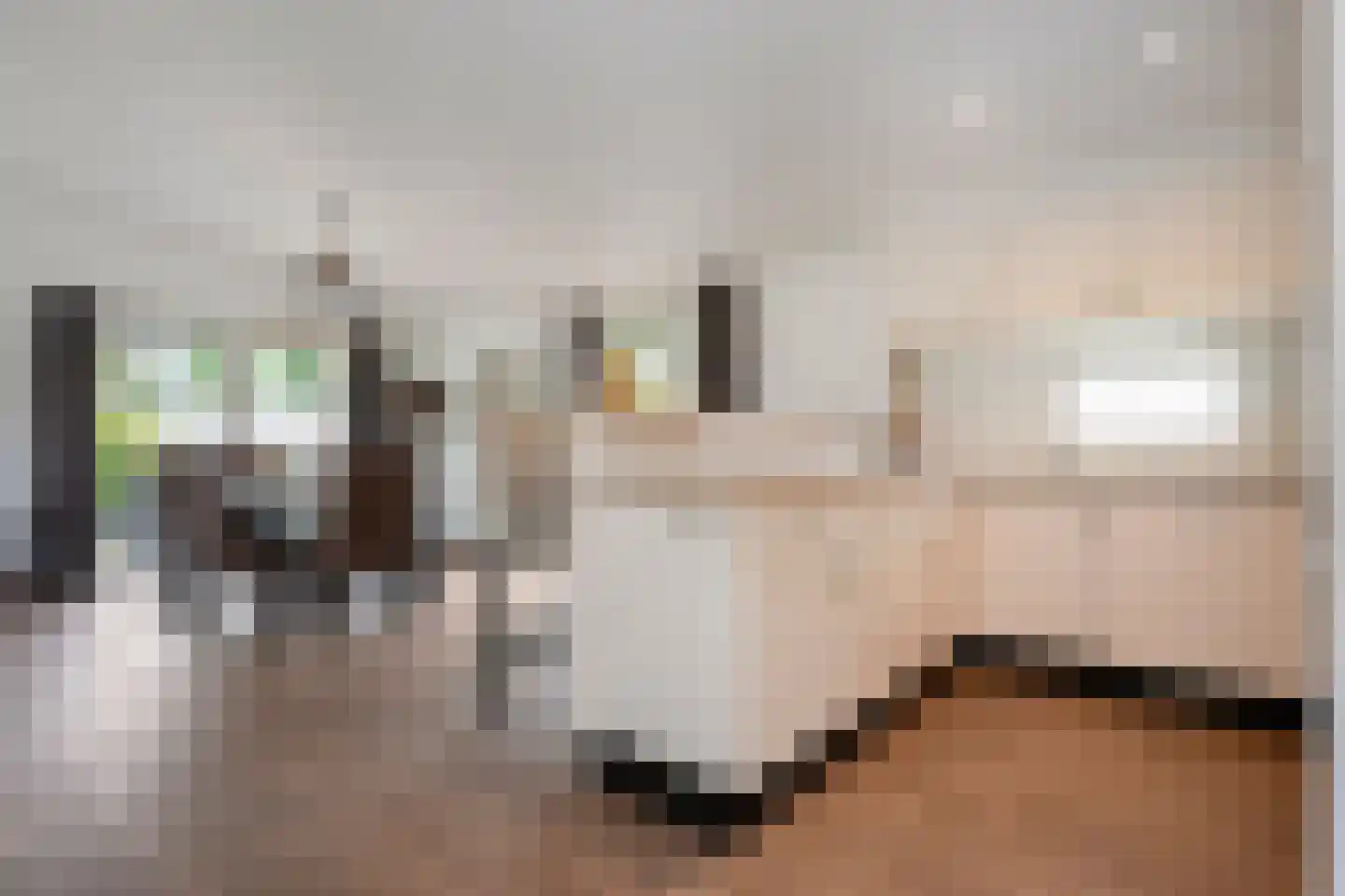 Hommelweg 2 R 330 Susteren thumbnail 15