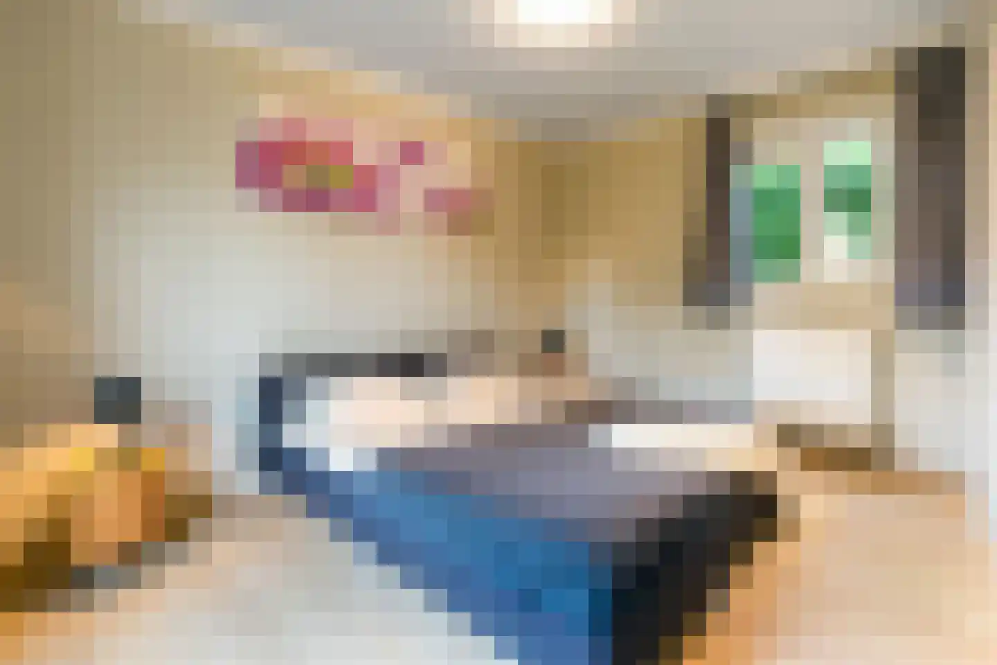 Hommelweg 2 R 334 Susteren thumbnail 8