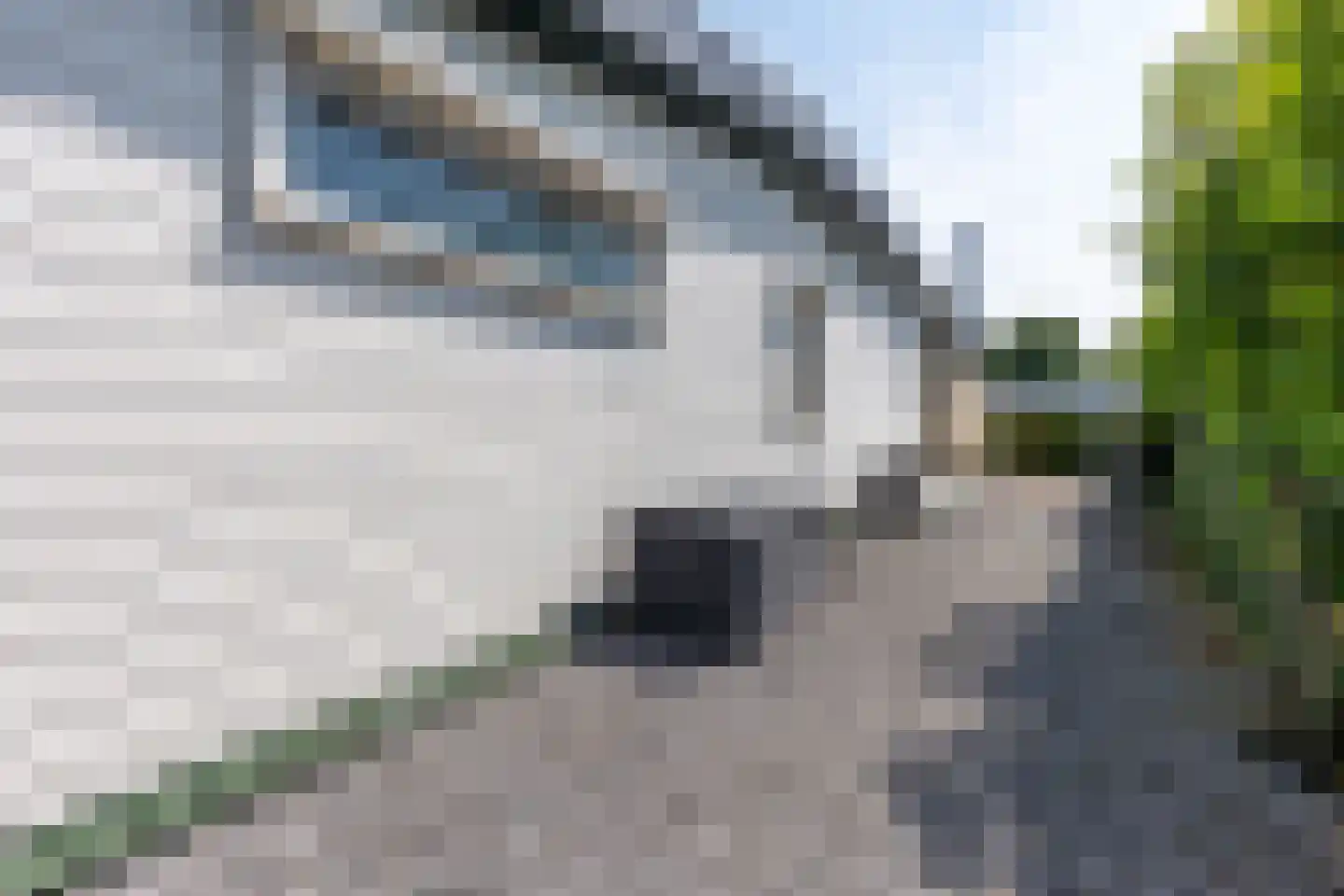 Hommelweg 2 R 339 Susteren thumbnail 25