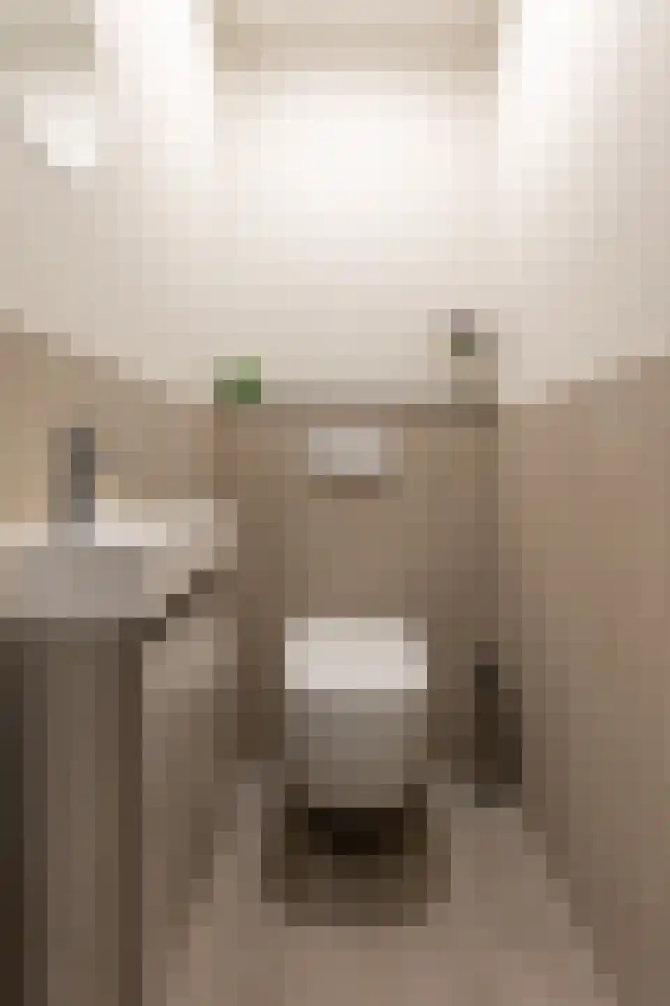 Hommelweg 2 R 339 Susteren thumbnail 34