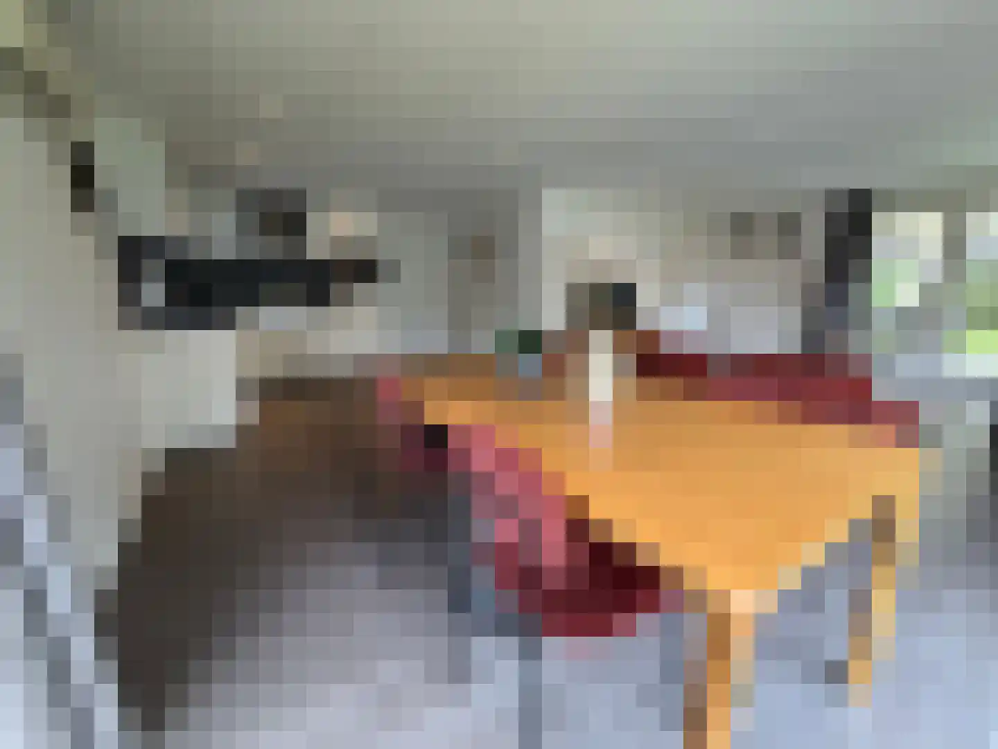 Hommelweg 2 R 408 Susteren thumbnail 4