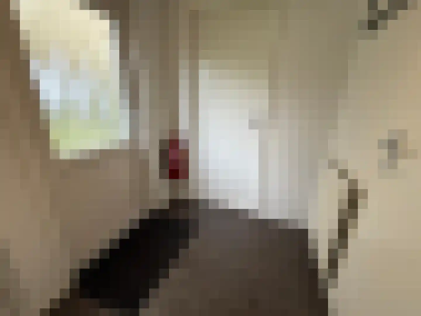 Hommelweg 2 R 408 Susteren thumbnail 8
