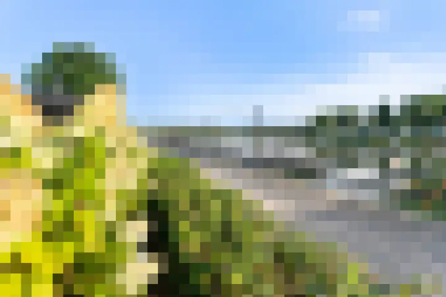 Hommelweg 2 R 412 Susteren thumbnail 33