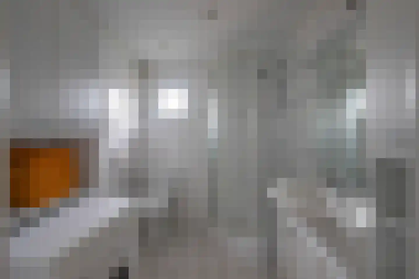 Hommelweg 2 R 422 Susteren thumbnail 10
