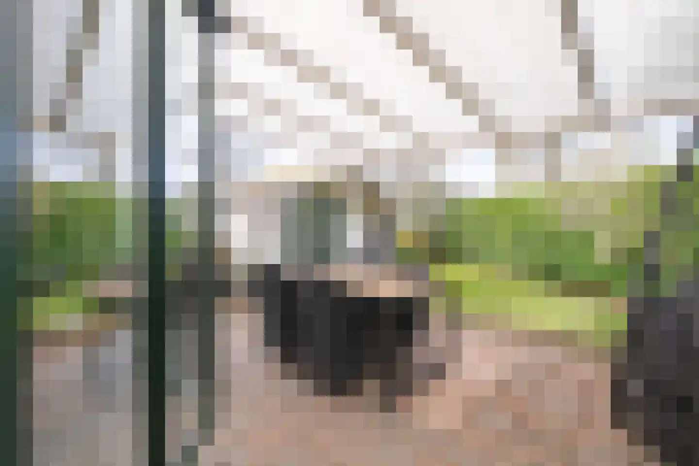 Hommelweg 2 R 429 Susteren thumbnail 12