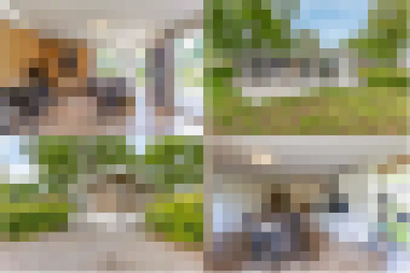 Hommelweg 2 R 460 Susteren thumbnail 4