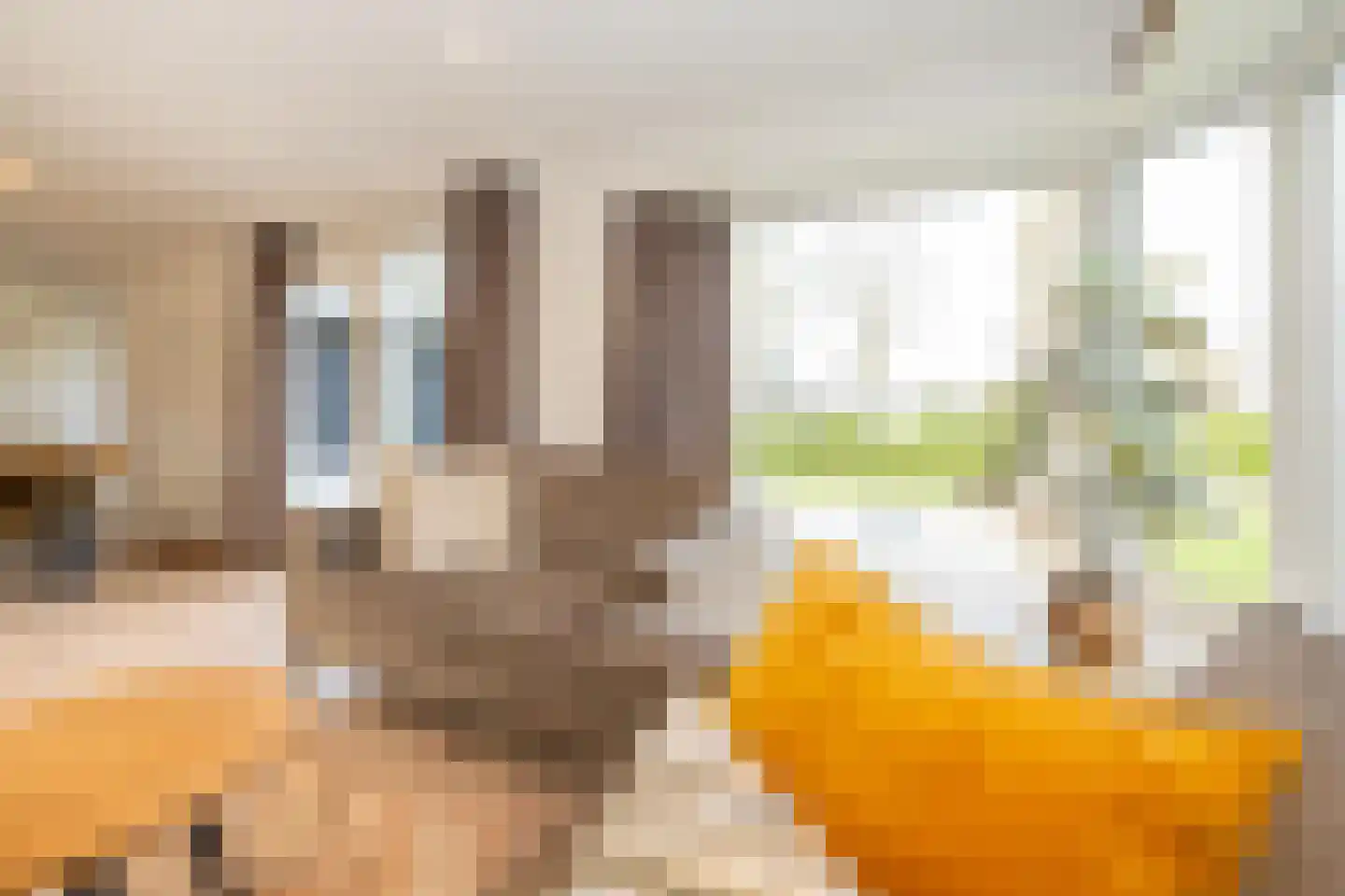 Hommelweg 2 R 475 Susteren thumbnail 7