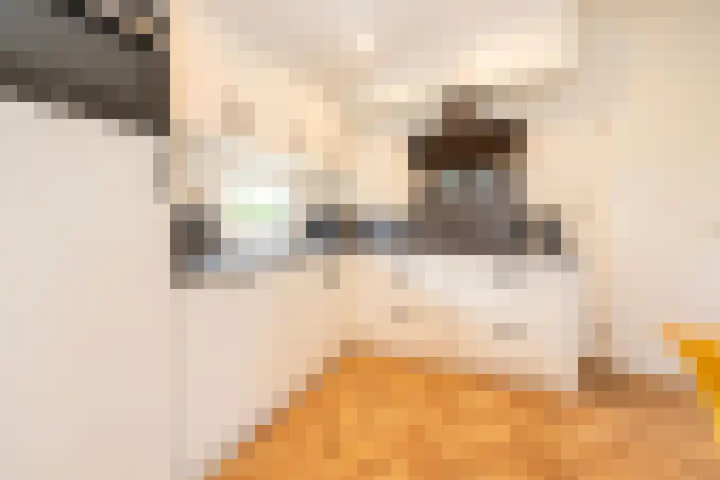 Hommelweg 2 R 475 Susteren thumbnail 9