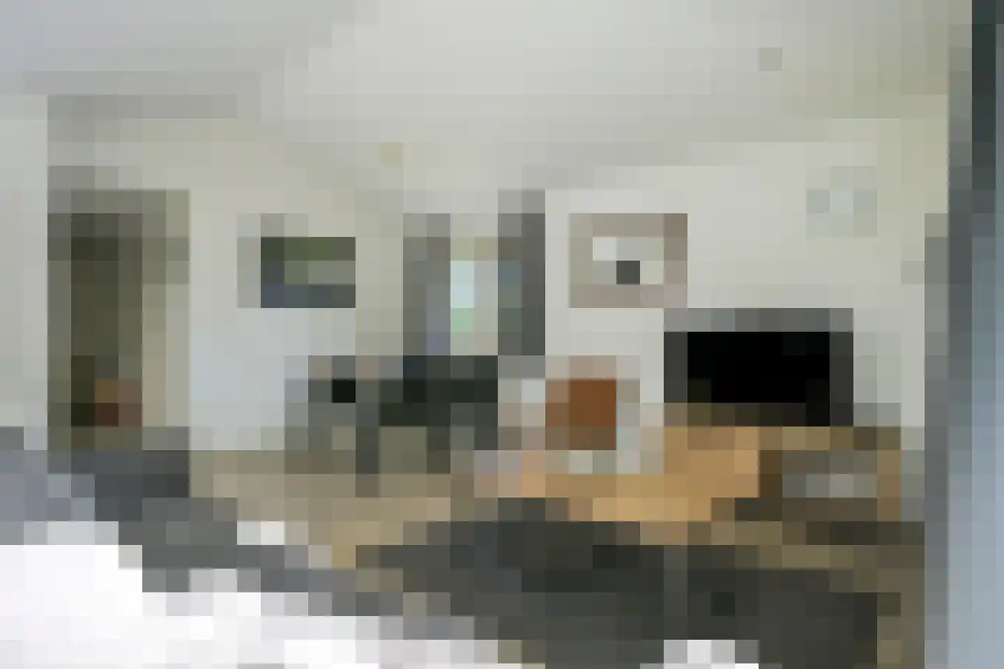 Hommelweg 2 R 481 Susteren thumbnail 10