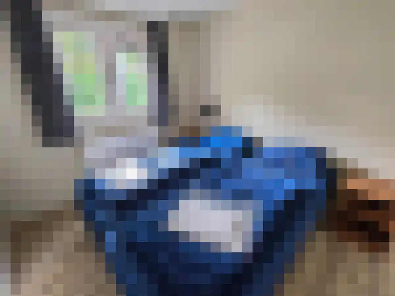Hommelweg 2 R 481 Susteren thumbnail 10