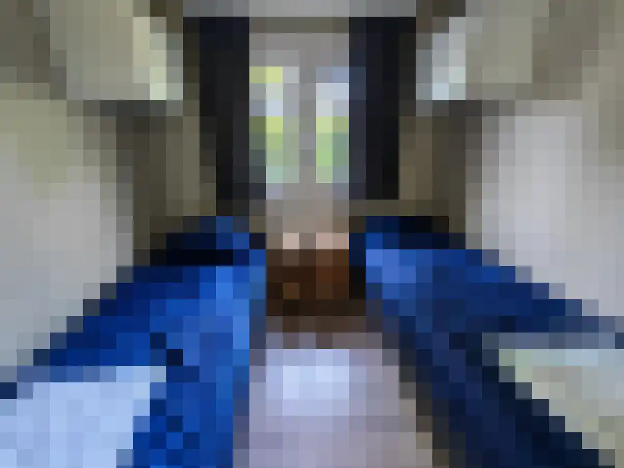 Hommelweg 2 R 481 Susteren thumbnail 11