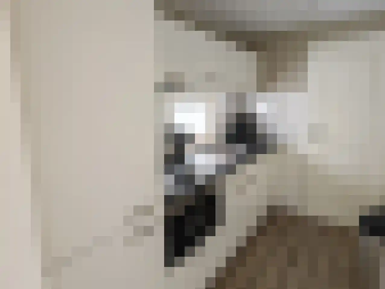 Hommelweg 2 R 481 Susteren thumbnail 8