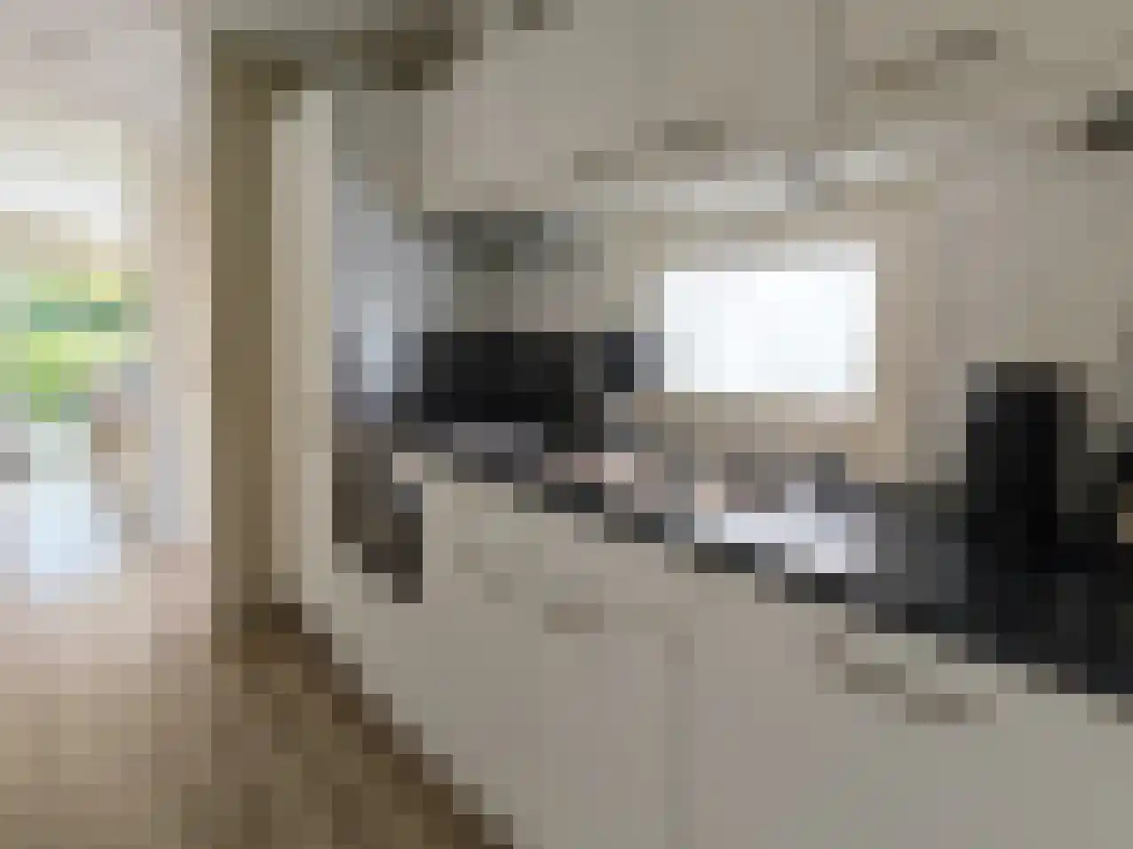 Hommelweg 2 R 481 Susteren thumbnail 9