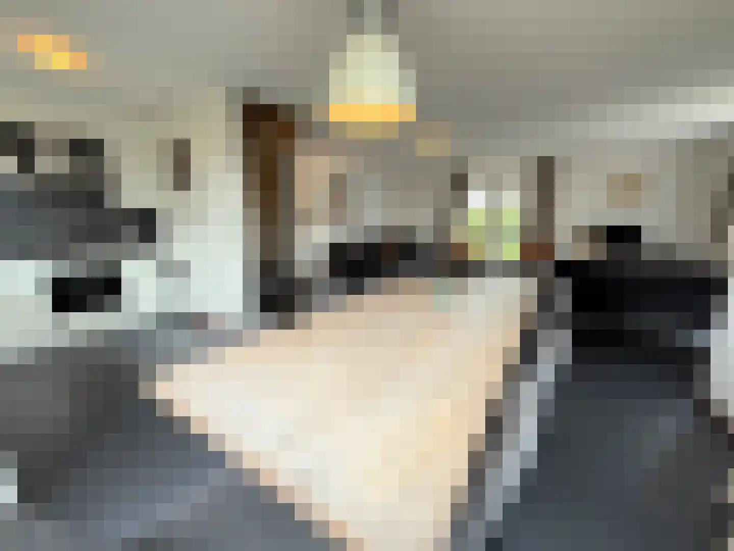Hommelweg 2 R 504 Susteren thumbnail 11
