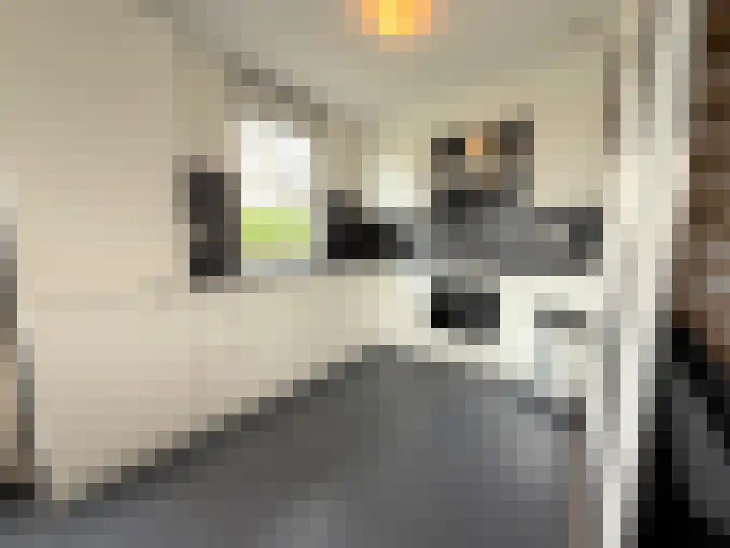 Hommelweg 2 R 504 Susteren thumbnail 13