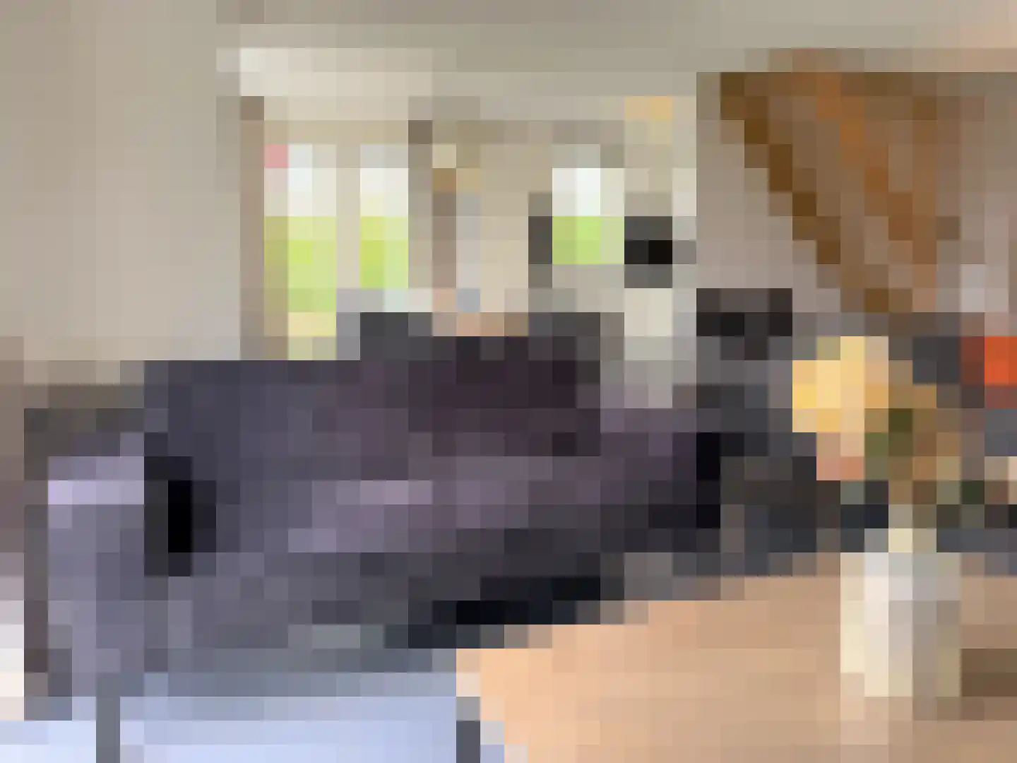 Hommelweg 2 R 504 Susteren thumbnail 4