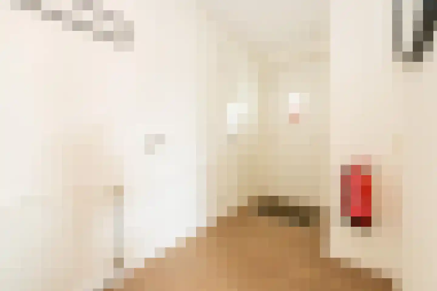 Hommelweg 2 R 513 Susteren thumbnail 11