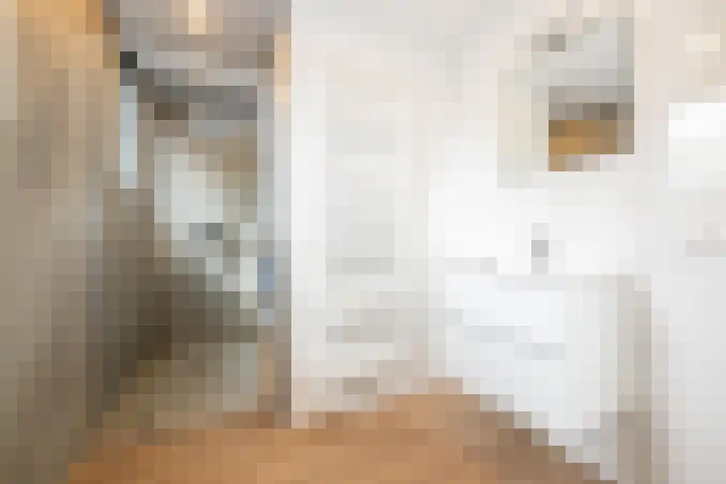 Hommelweg 2 R 513 Susteren thumbnail 13