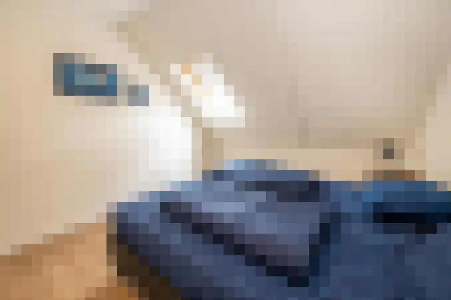 Hommelweg 2 R 513 Susteren thumbnail 20