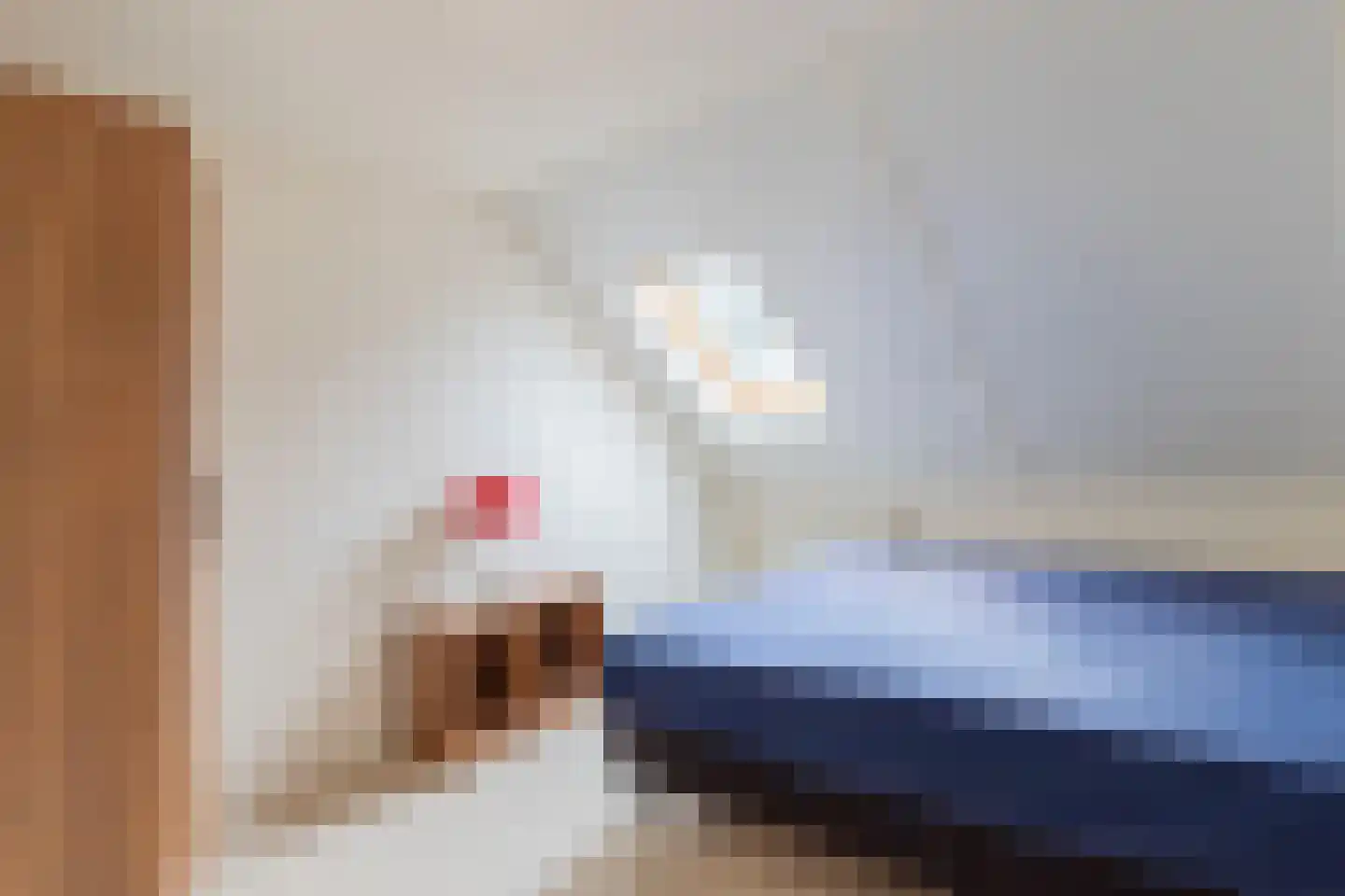 Hommelweg 2 R 514 Susteren thumbnail 18